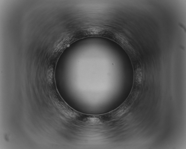 X0000100960509200806241530