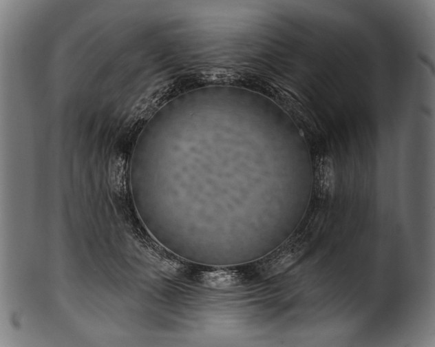 X0000100960511200806241530