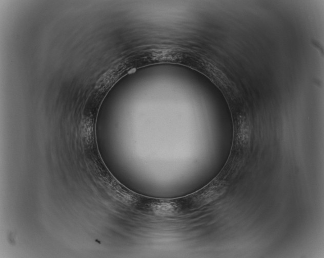 X0000100960513200806241530