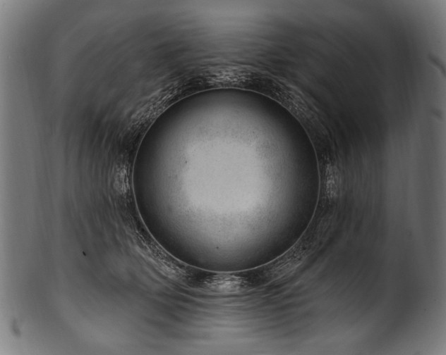 X0000100960514200806241530