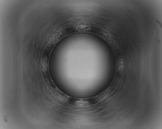 X0000100960515200806241530