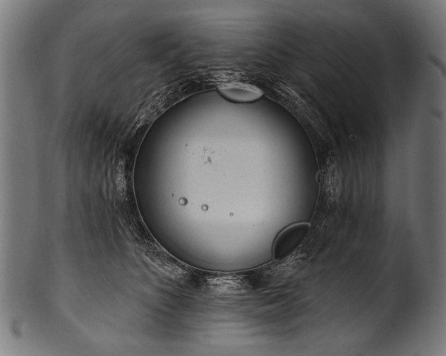 X0000100960516200806241530