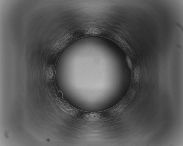 X0000100960517200806241530
