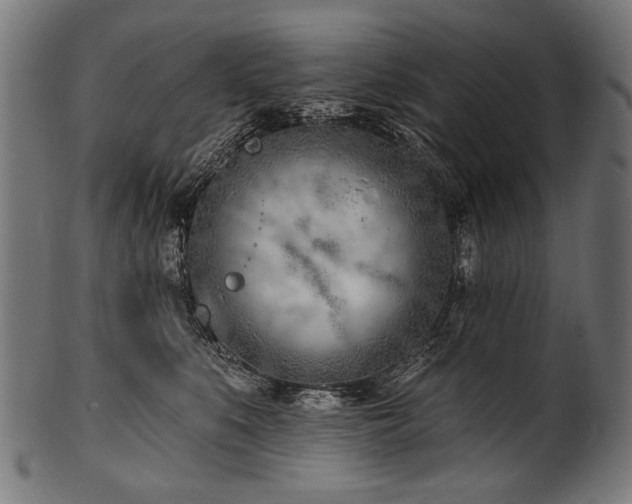 X0000100960519200806241530