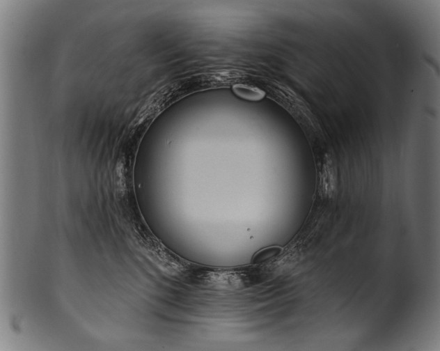 X0000100960520200806241530