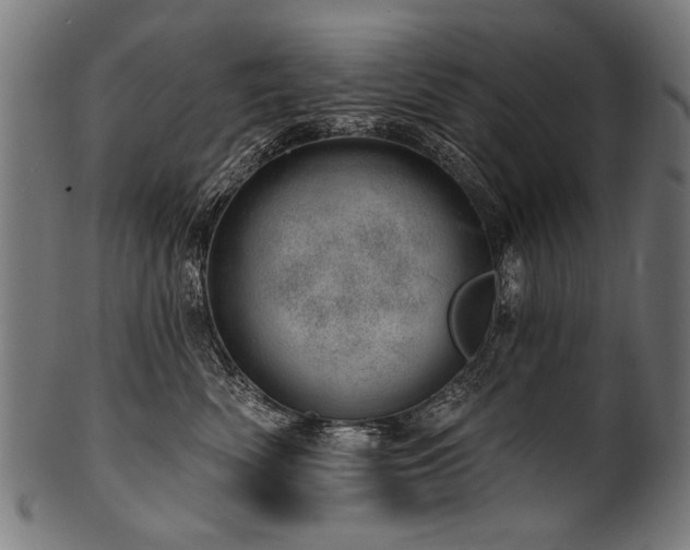 X0000100960522200806241530