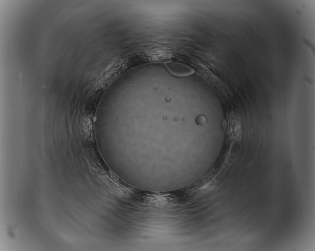 X0000100960523200806241530