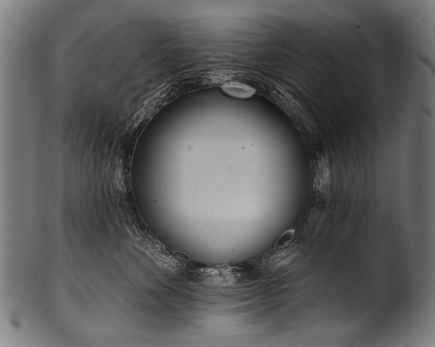 X0000100960524200806241530