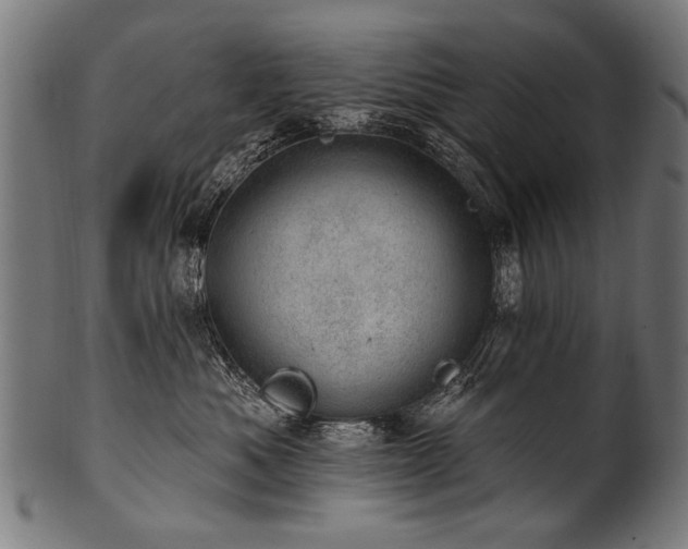 X0000100960525200806241530