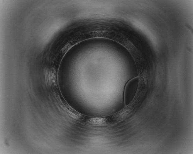 X0000100960526200806241530