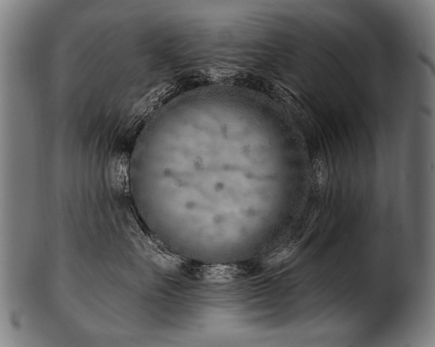 X0000100960527200806241530
