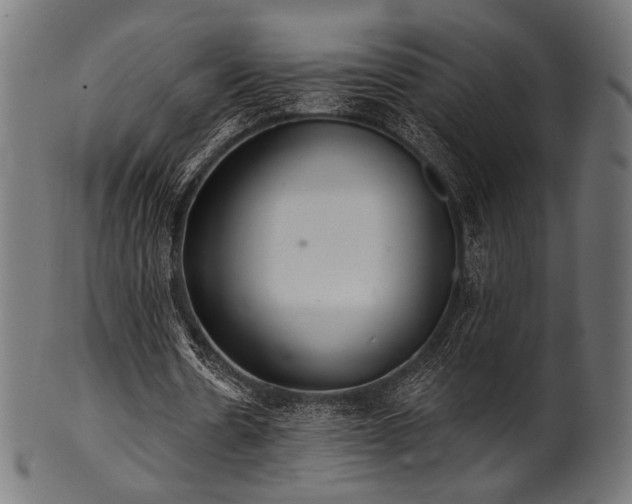X0000100960530200806241529