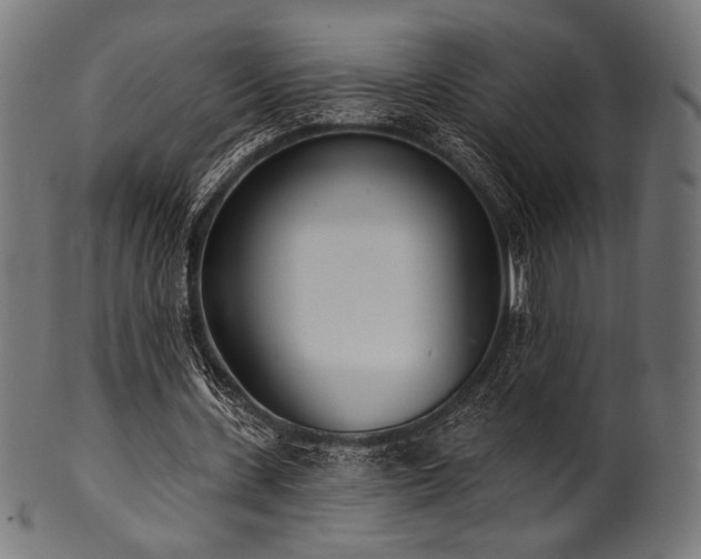 X0000100960531200806241529