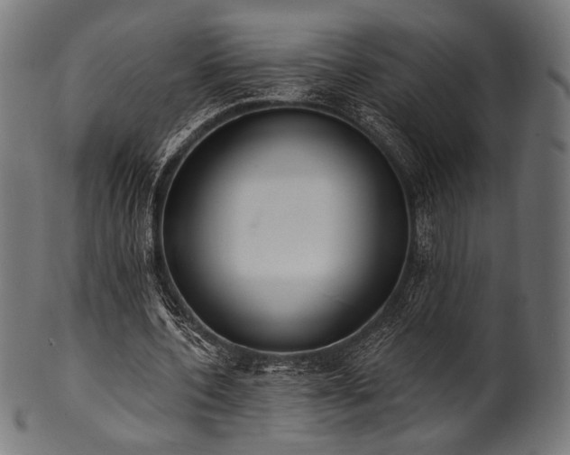 X0000100960532200806241529