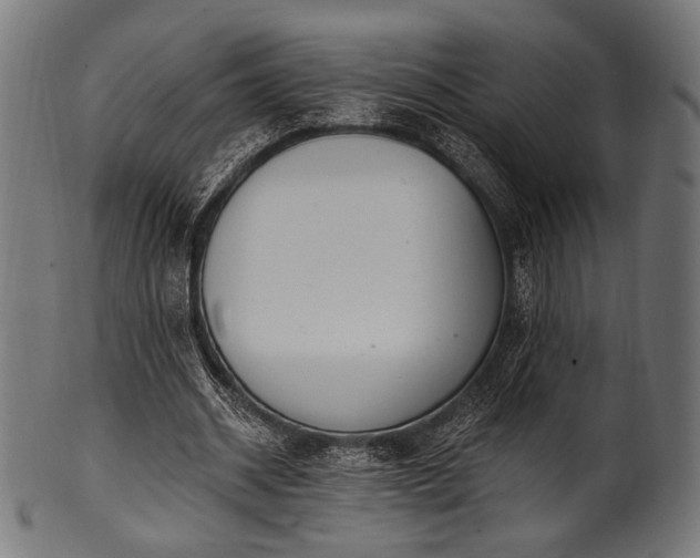 X0000100960534200806241529