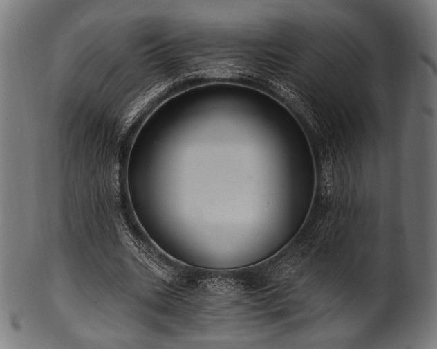 X0000100960535200806241529