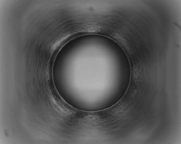 X0000100960536200806241529