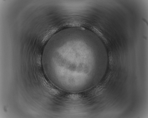 X0000100960537200806241529