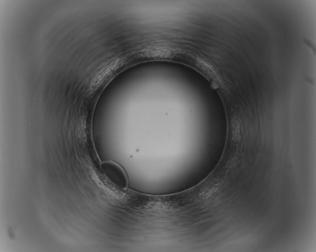 X0000100960538200806241529