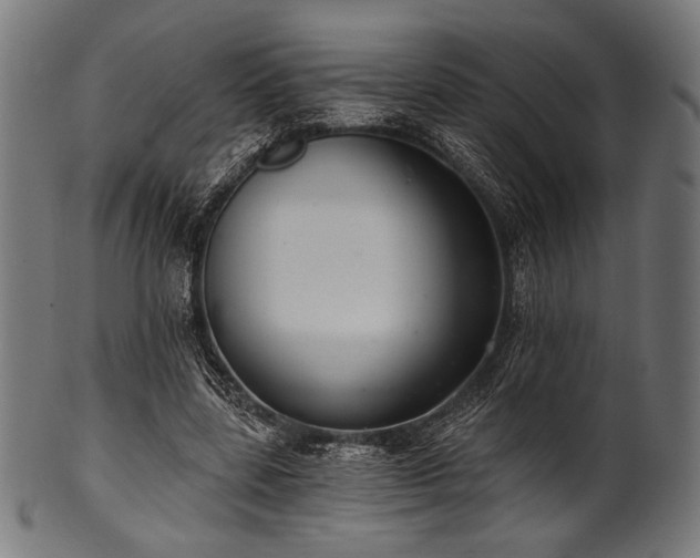 X0000100960539200806241529