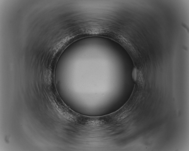 X0000100960540200806241529