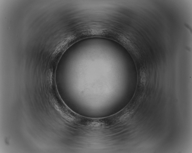 X0000100960542200806241529