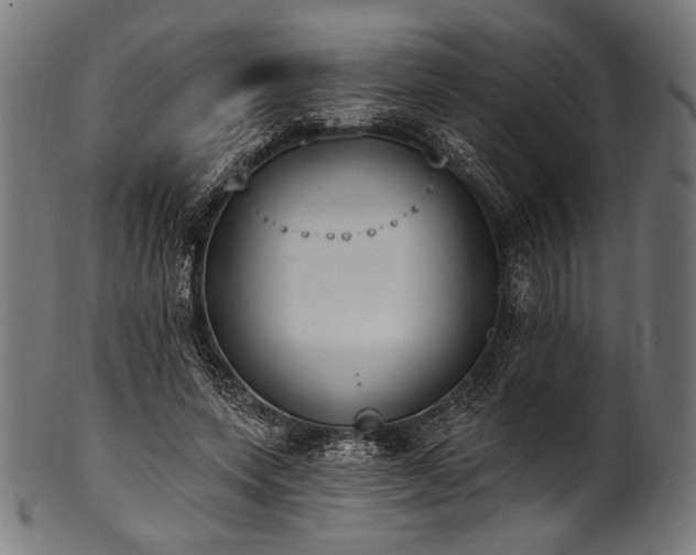 X0000100960543200806241529