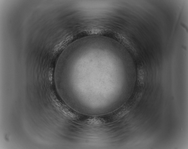 X0000100960545200806241529