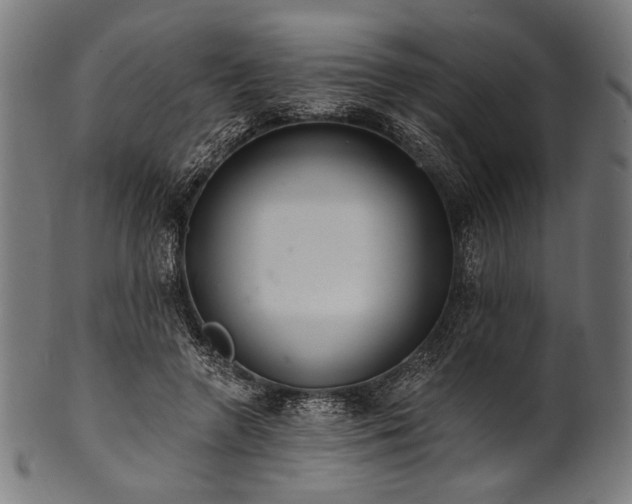 X0000100960546200806241529