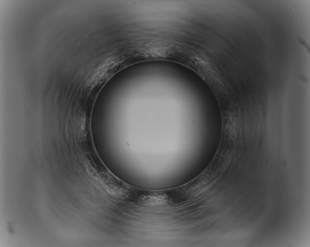 X0000100960548200806241529