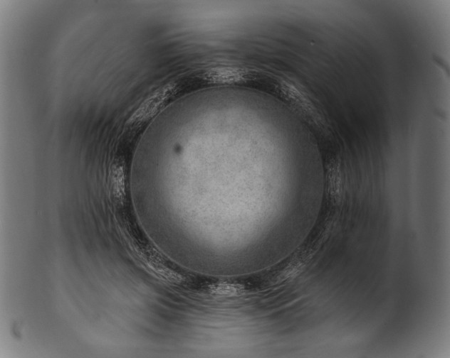 X0000100960549200806241529