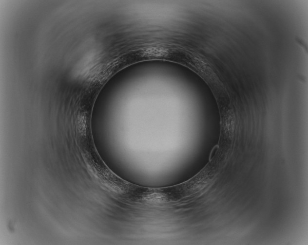 X0000100960551200806241529