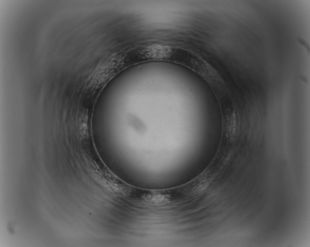 X0000100960553200806241530
