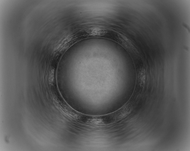 X0000100960554200806241530