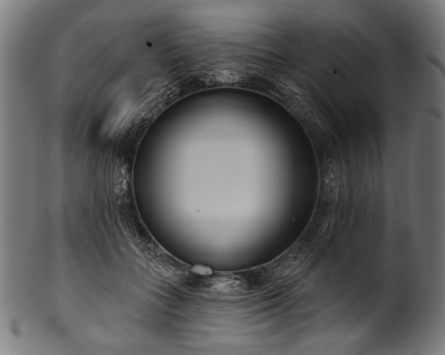 X0000100960555200806241530
