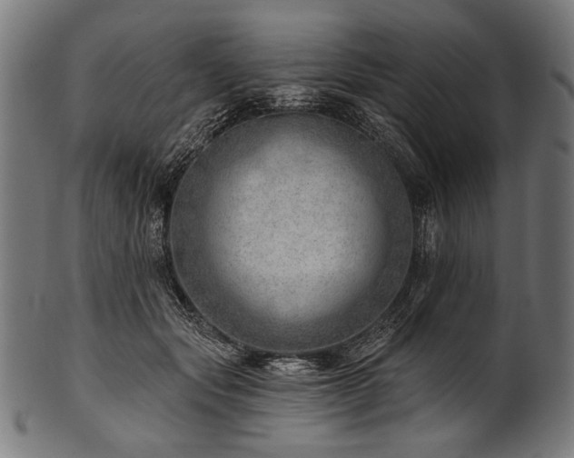 X0000100960557200806241530