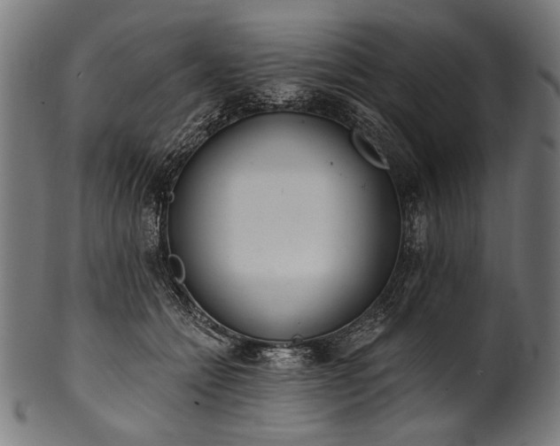 X0000100960558200806241530