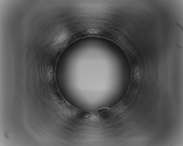 X0000100960559200806241530