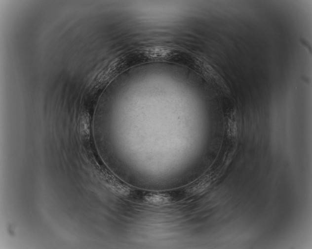 X0000100960561200806241530