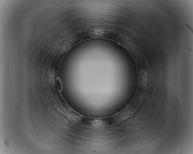 X0000100960562200806241530
