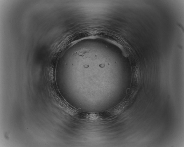X0000100960565200806241530