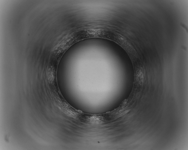 X0000100960566200806241530