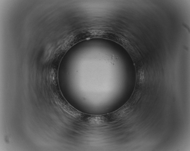 X0000100960567200806241530