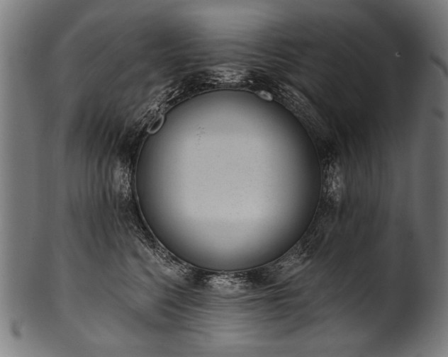 X0000100960568200806241530
