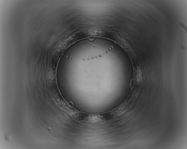X0000100960569200806241530