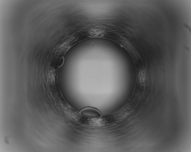 X0000100960570200806241530