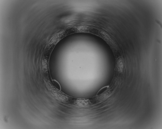 X0000100960571200806241530