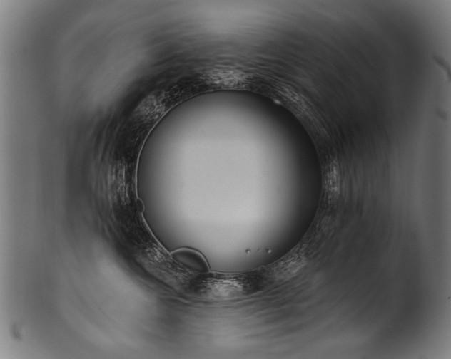 X0000100960572200806241530