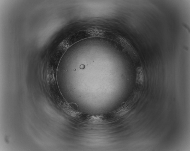 X0000100960573200806241530