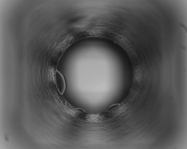 X0000100960575200806241530